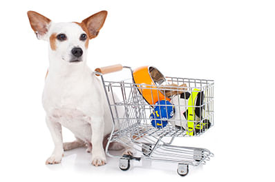 Como Comprar Como Comprar