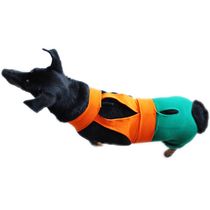 Bermuda-Ortopedica-Vestdog-2-copy