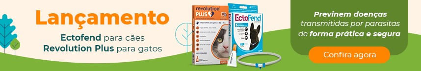 Titulo da imagem, bom para SEO