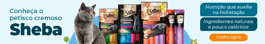 Titulo da imagem, bom para SEO