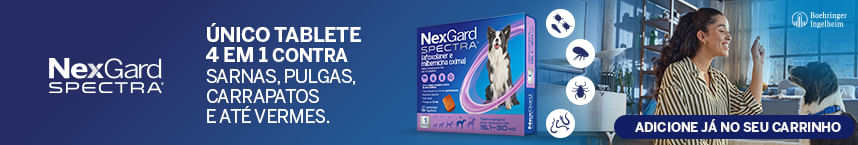 Titulo da imagem, bom para SEO