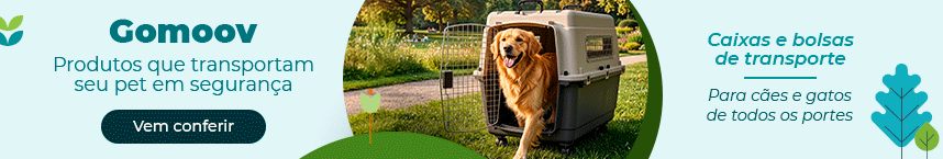 Titulo da imagem, bom para SEO