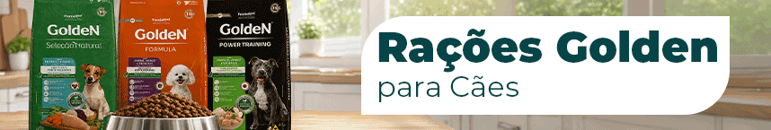 Titulo da imagem, bom para SEO