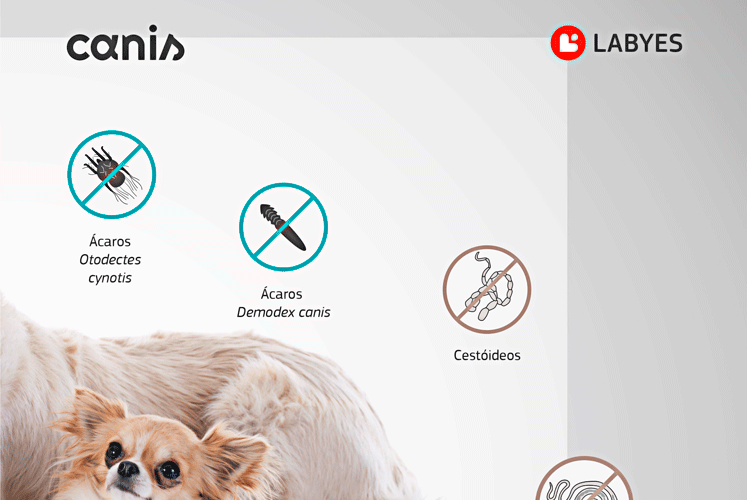 Antiparasitário Canis Fullstop