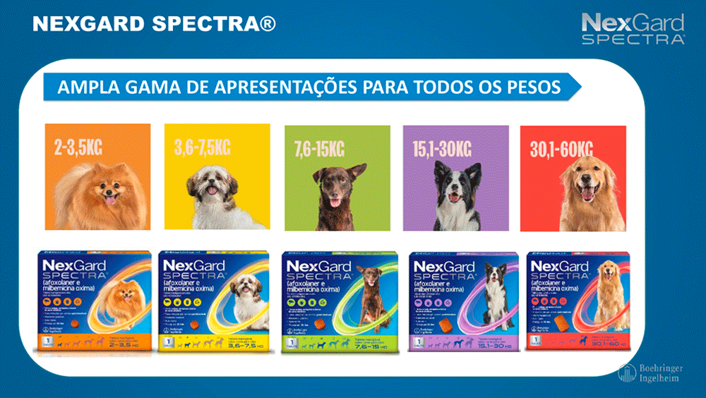 NexGard SPECTRA para cães  Proteja seu cão contra parasitas internos e  externo