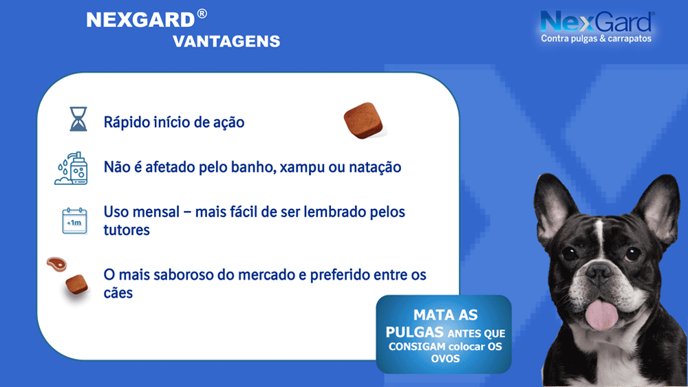 Compra Programada: não deixe faltar nada para seu pet