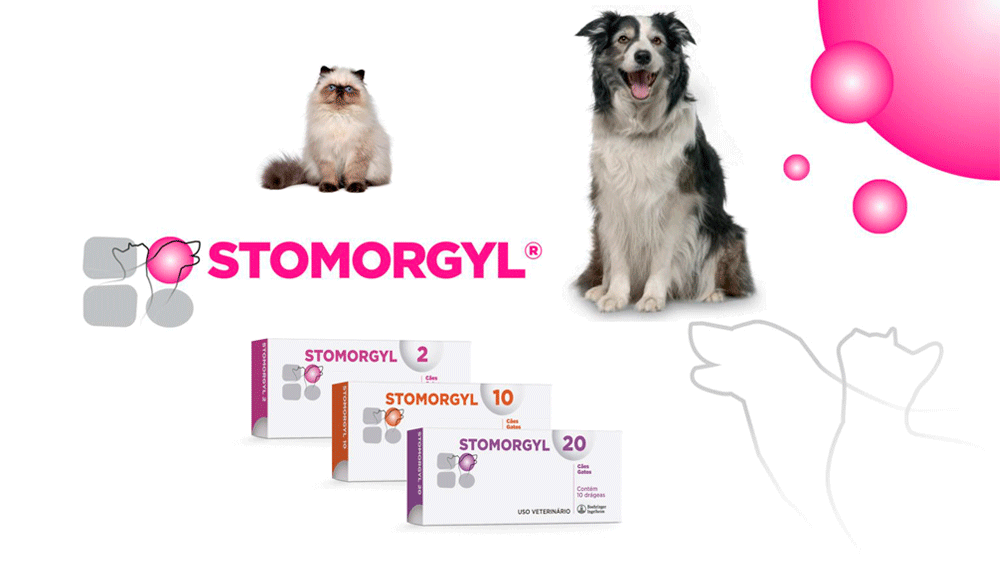 Stomorgyl