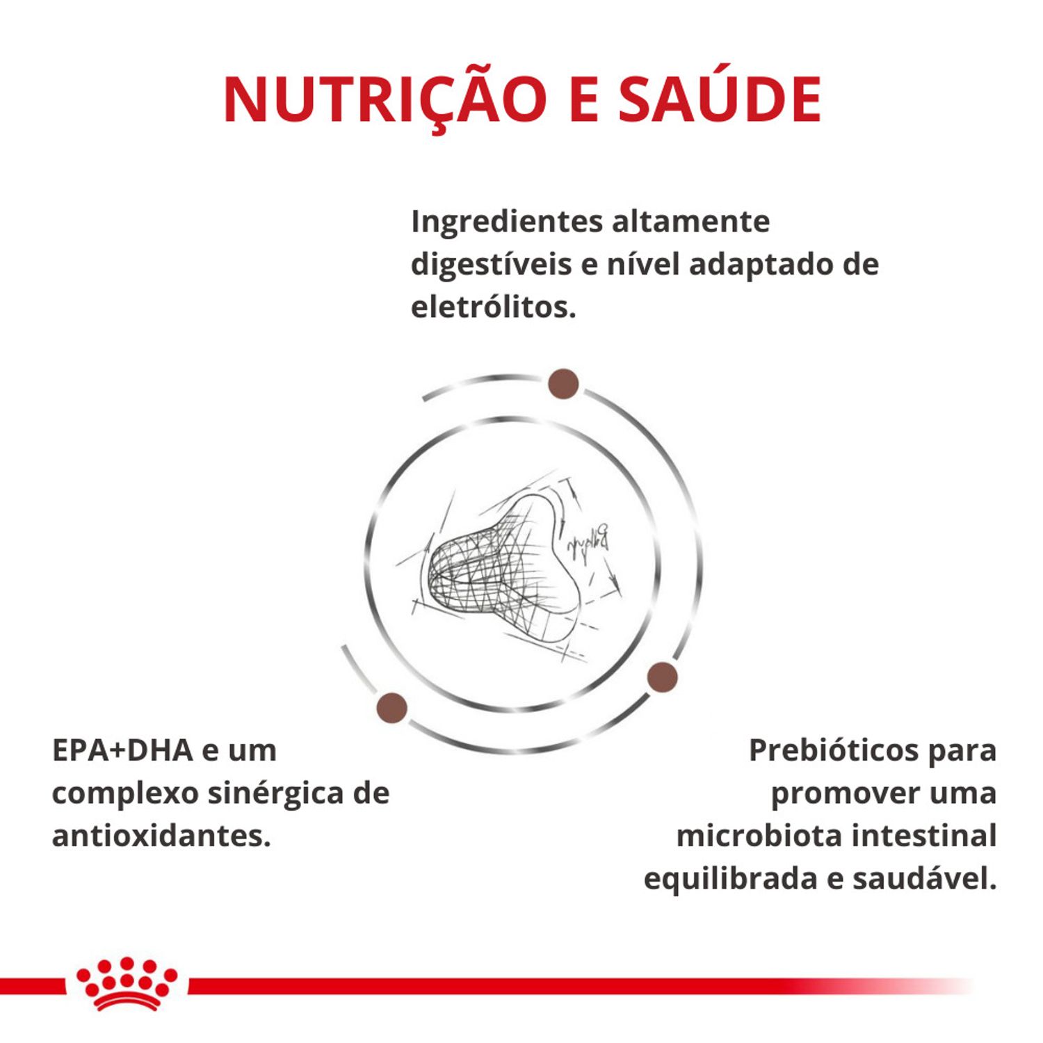 Racao-Royal-Canin-Veterinary-Diet-Hepatic-Gatos-Adultos