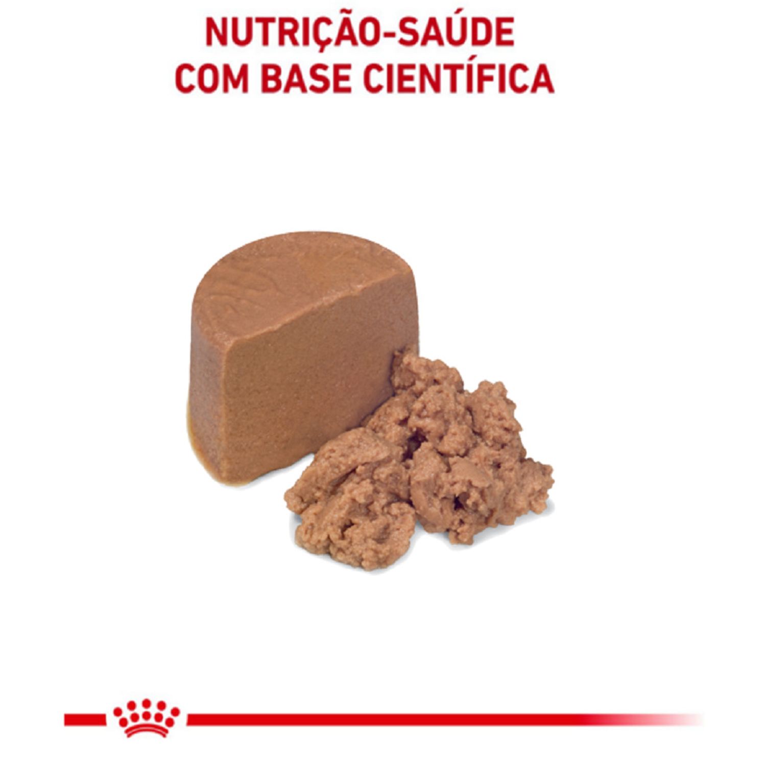 Ração Úmida Royal Canin Recovery Cães e Gatos textura