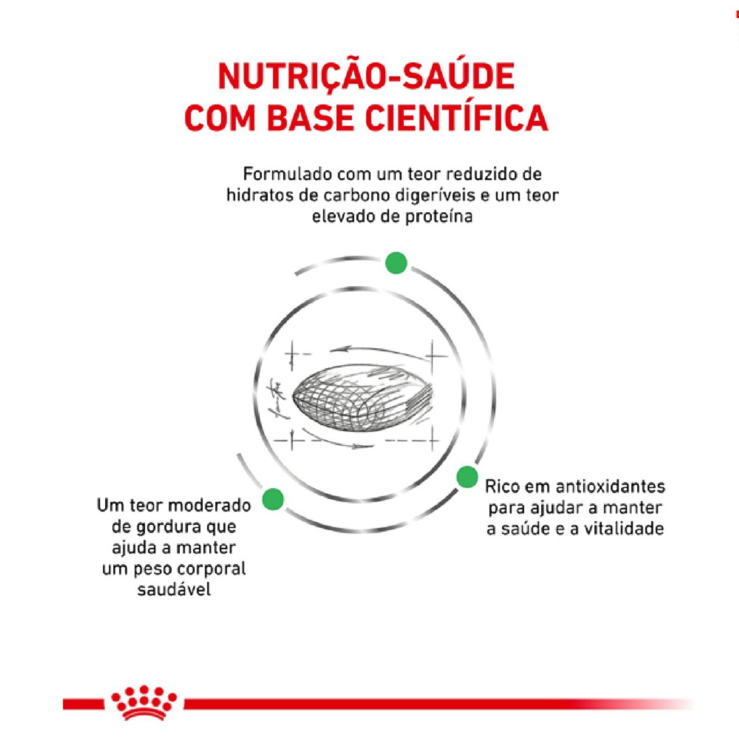 Racao-Royal-Canin-Diabetic-Caes-Adultos-Nutricao-Adaptada