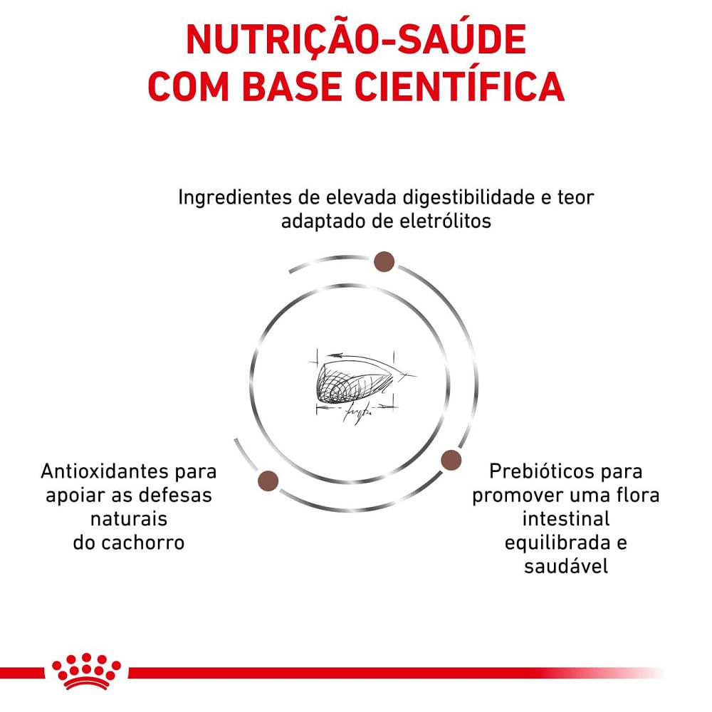 Ração Royal Canin Gastrointestinal Puppy Cães Filhotes