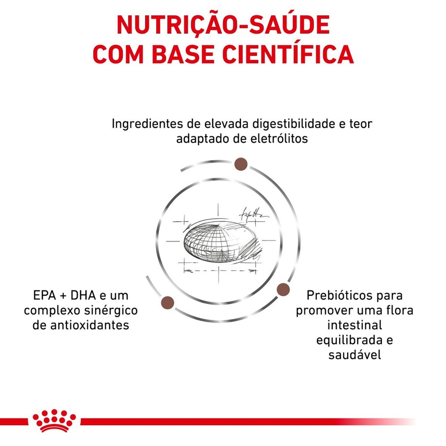 ração royal canin gastrointestinal cães adultos grãos