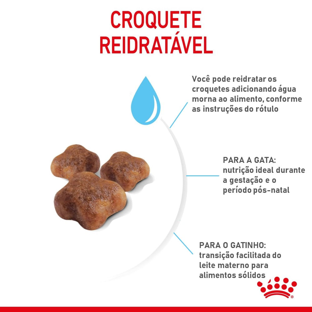 Ração Royal Canin Mother & Babycat