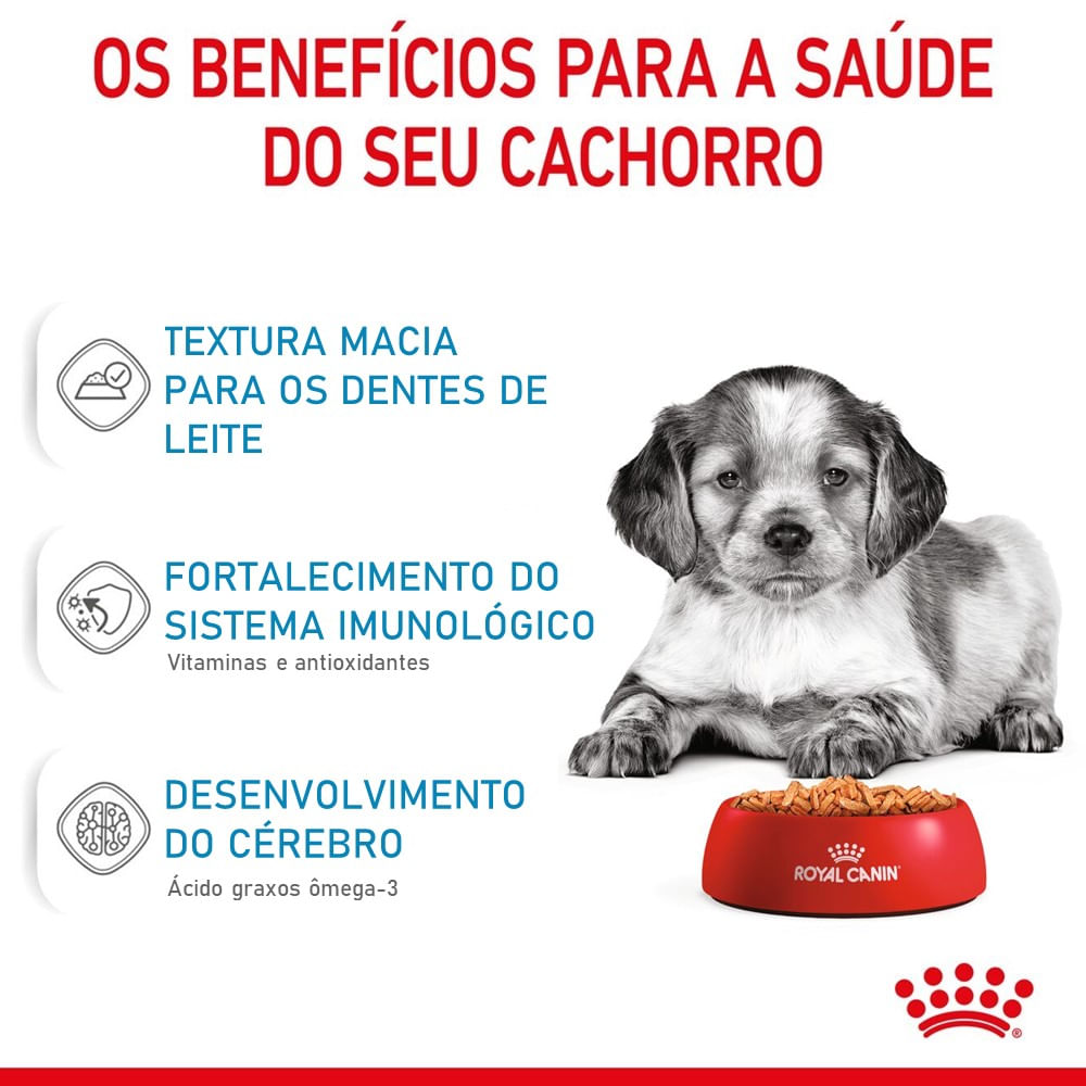 Ração Úmida Royal Canin Medium Puppy Cães Filhotes