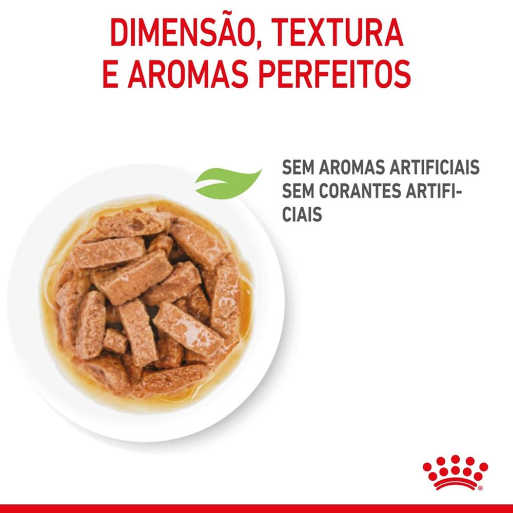 Ração Úmida Royal Canin Medium Puppy Cães Filhotes