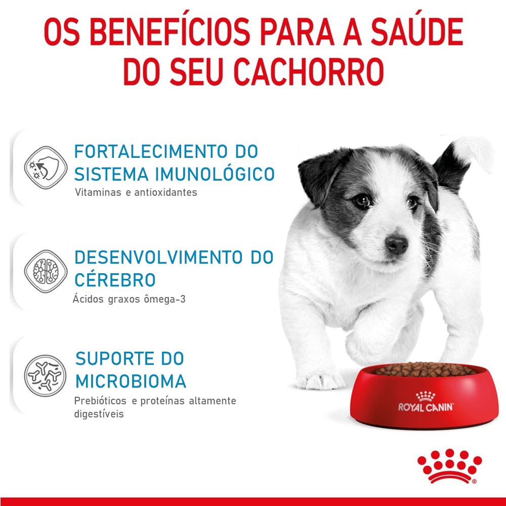 Ração Royal Canin Mini Puppy Cães Filhotes