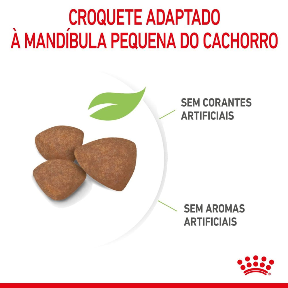 Ração Royal Canin Mini Puppy Cães Filhotes