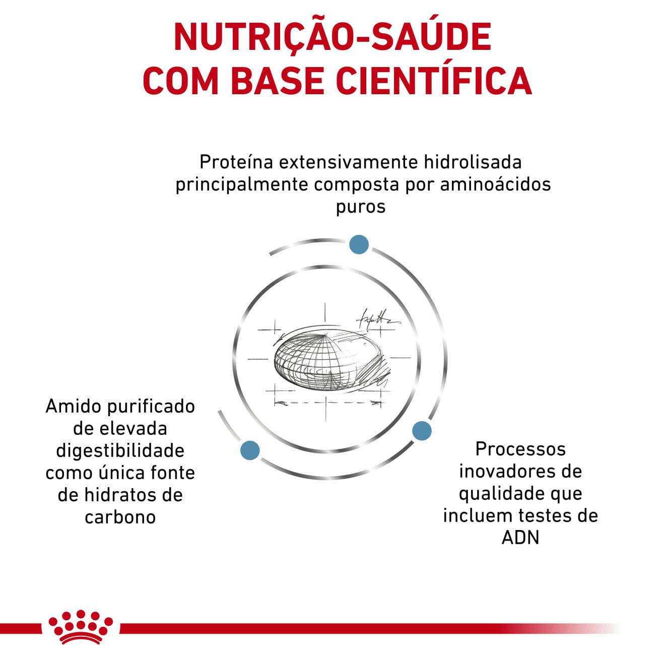 Ração Royal Canin Anallergenic Gatos Adultos