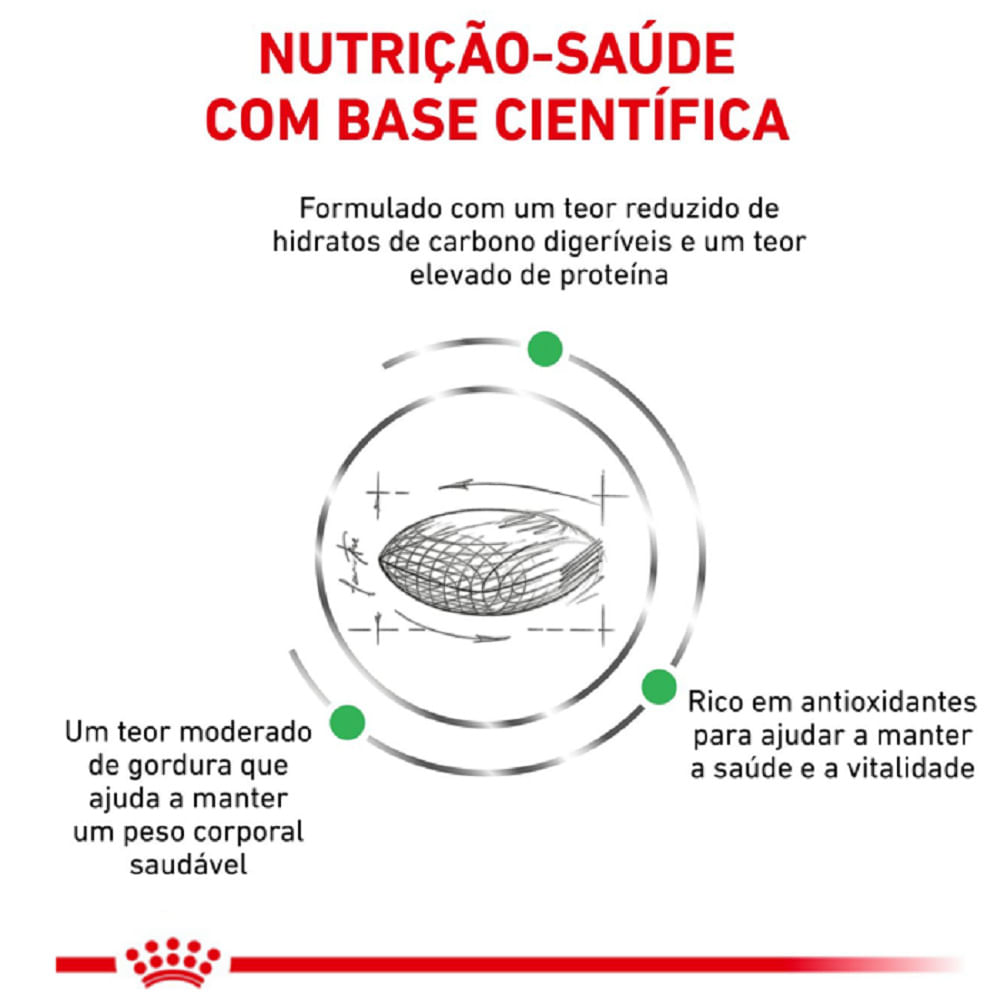 Ração Royal Canin Diabetic Gatos Adultos