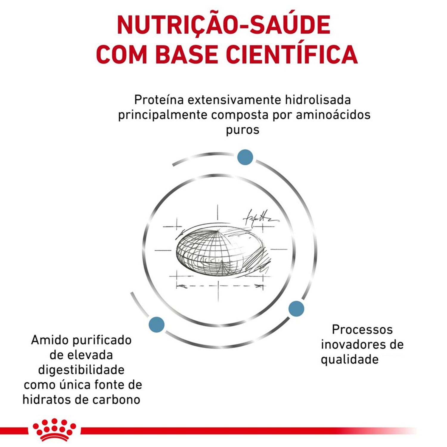 Racao-Royal-Canin-Anallergenic-Caes-Adultos-Nutricao