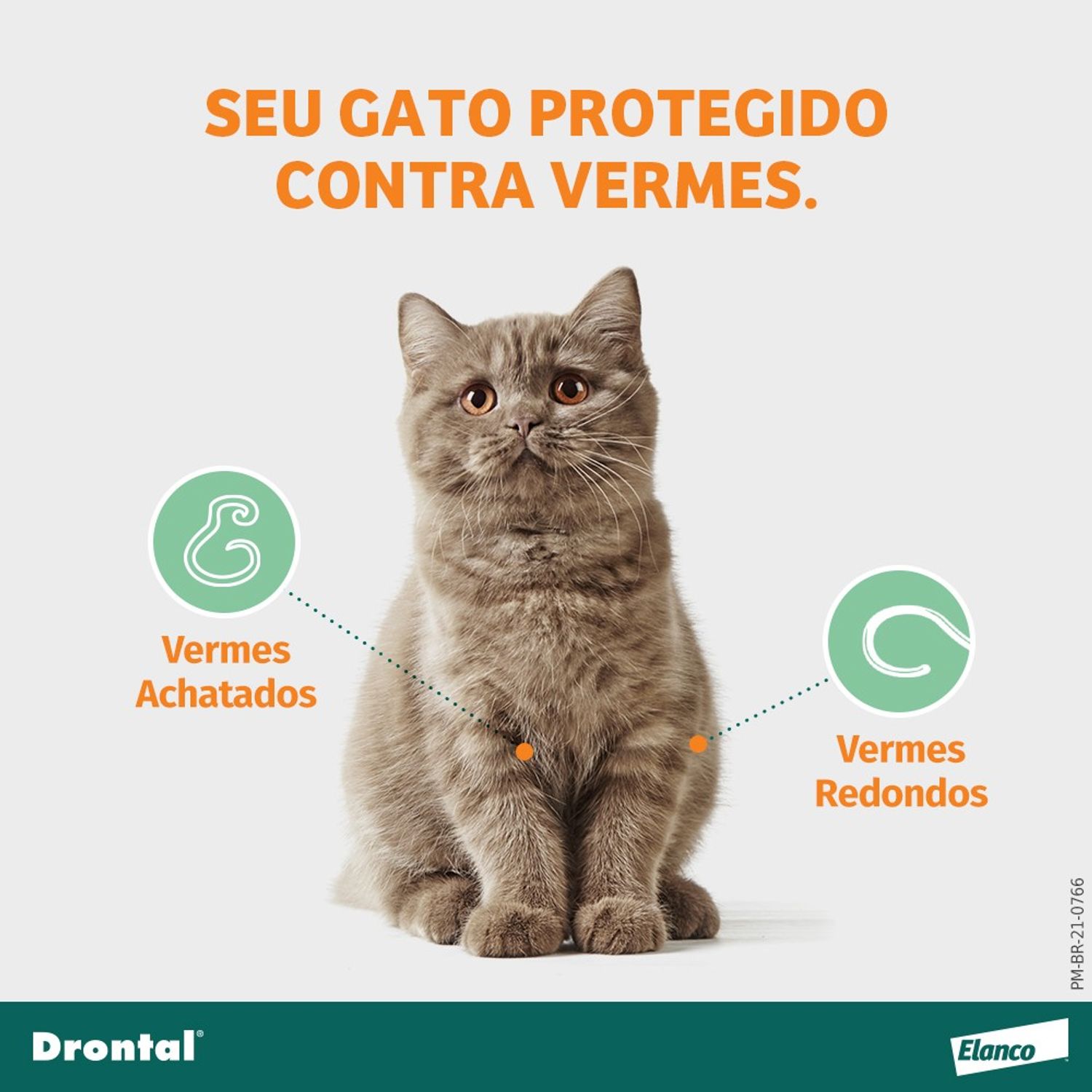 Drontal-Gatos-Protege-contra-vermes