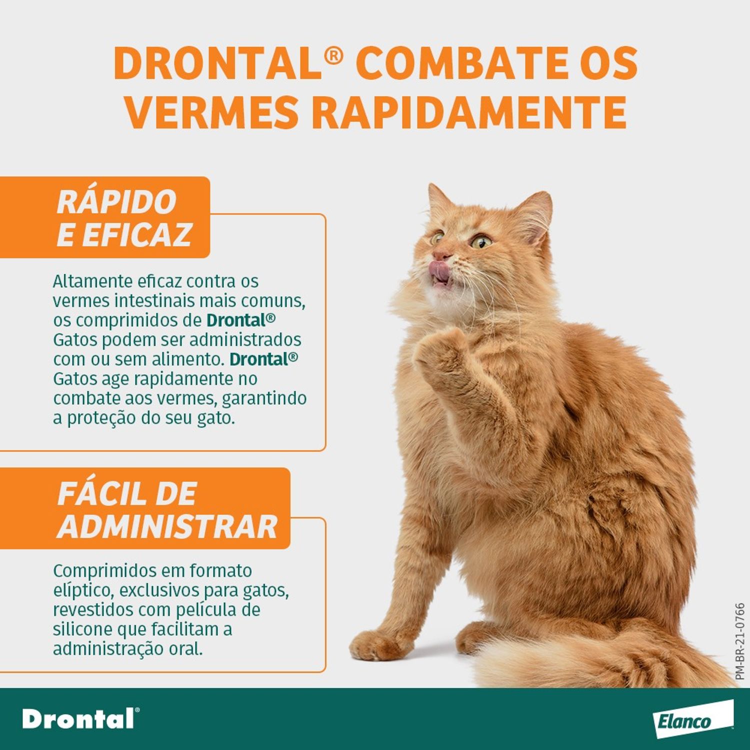 Drontal-Gatos-Rapido-e-Eficaz
