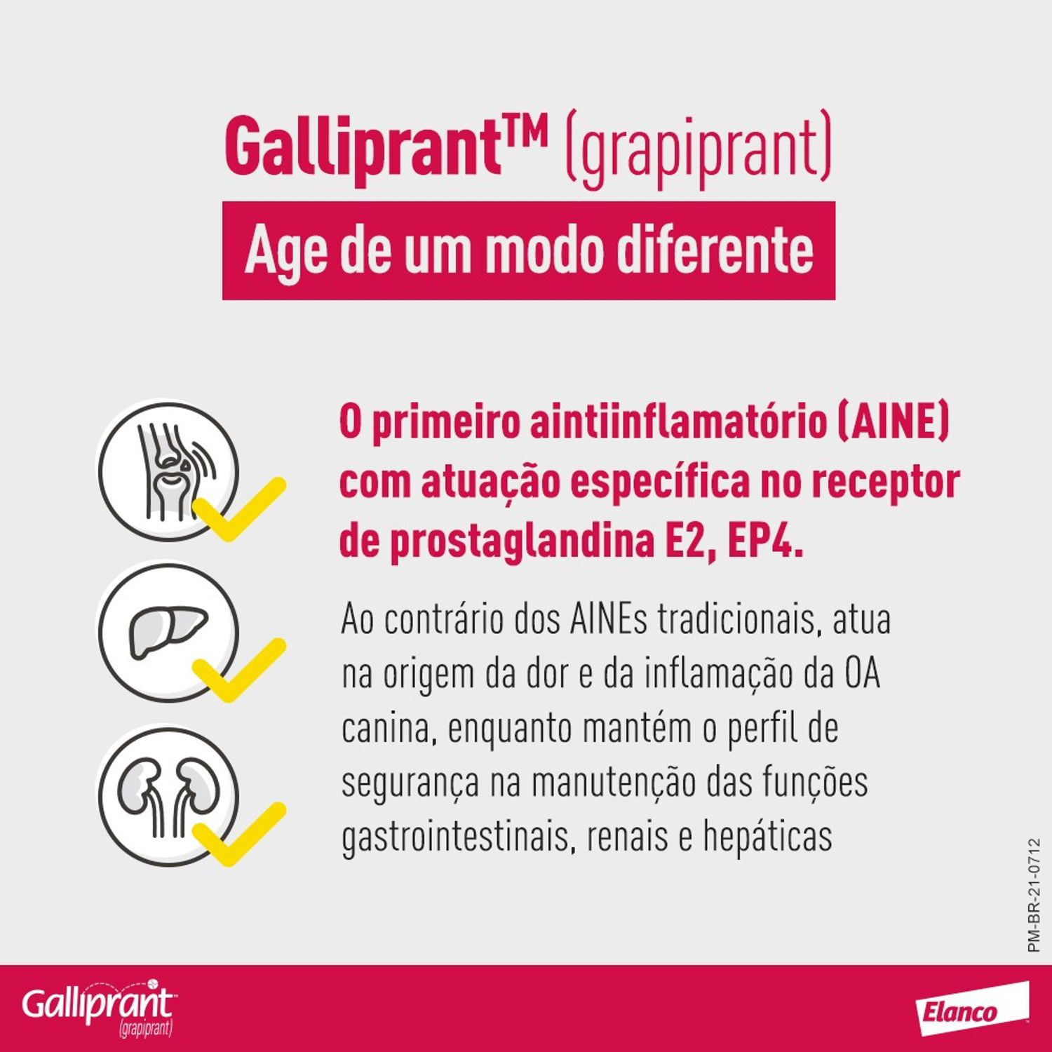 Galliprant 100mg Anti-inflamatório para Cachorro ação