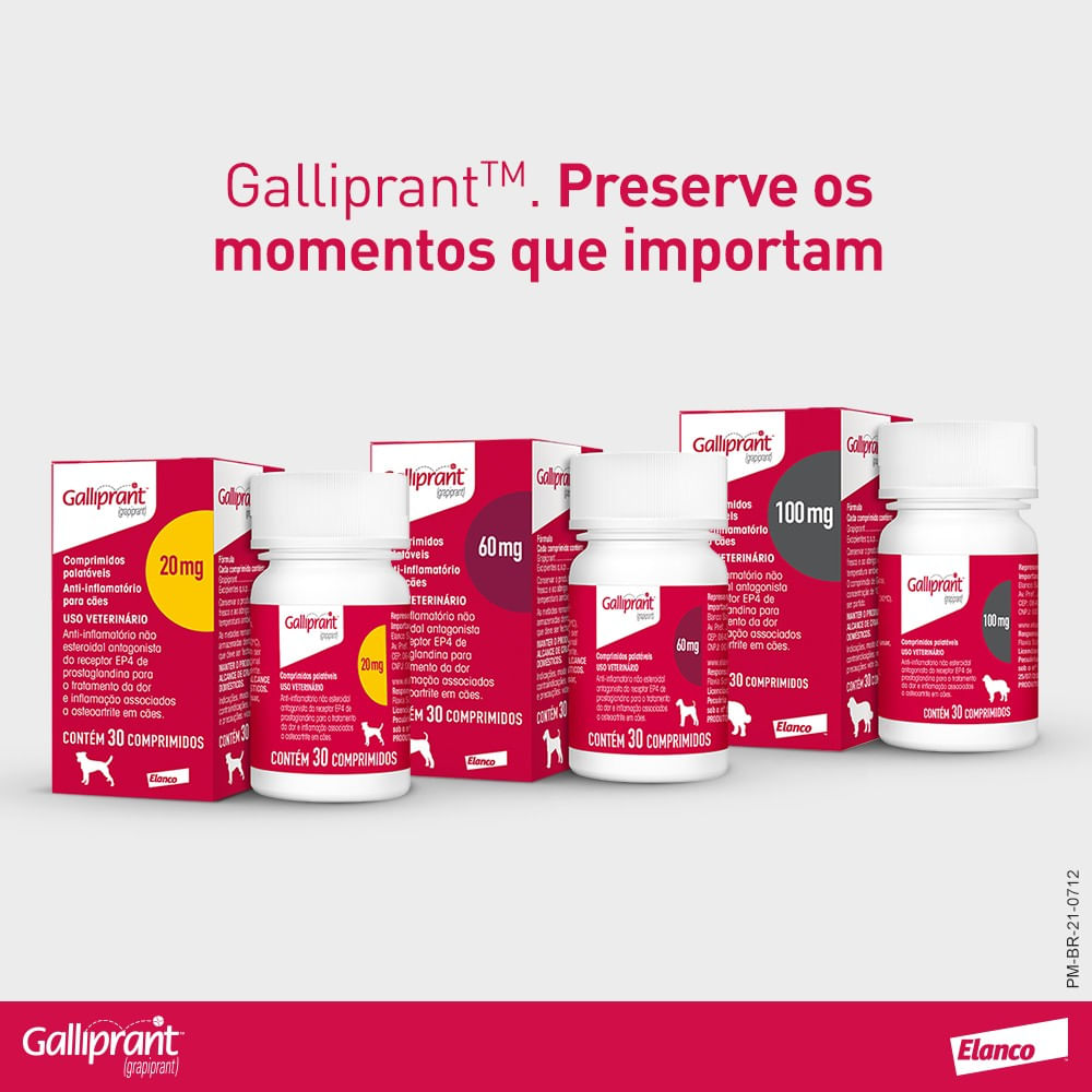 Shop grapiprant 20 mg Cheap Sale