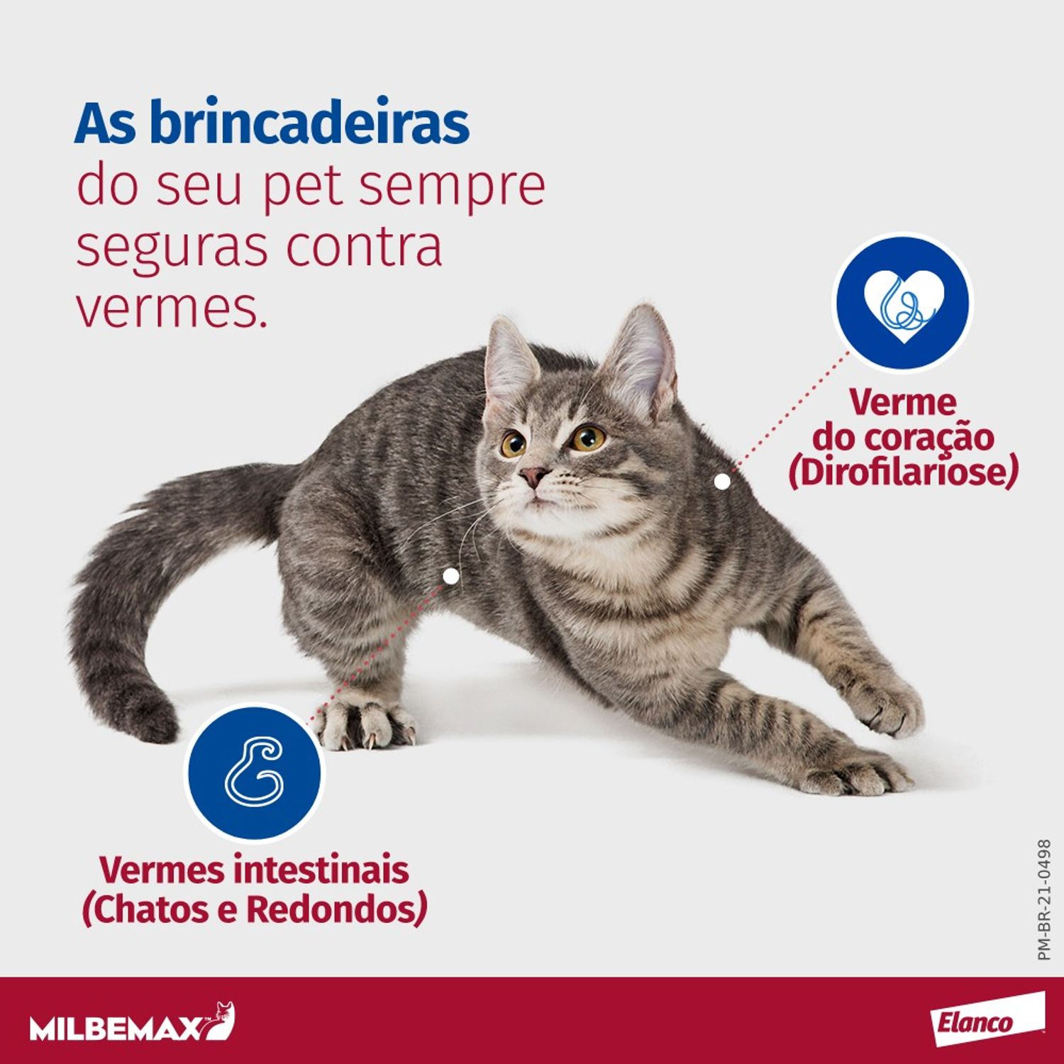 Vermífugo Milbemax G Gatos Tipos de vermes