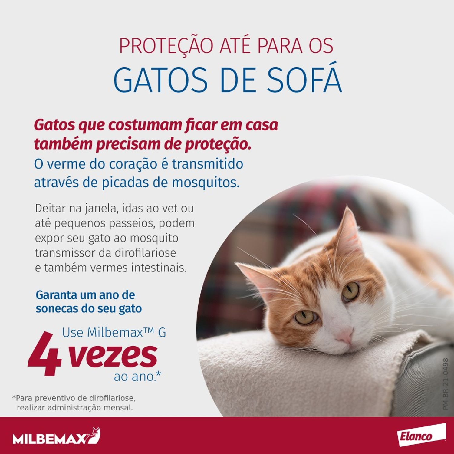 Vermífugo Milbemax G Gatos 0,5 a 2kg