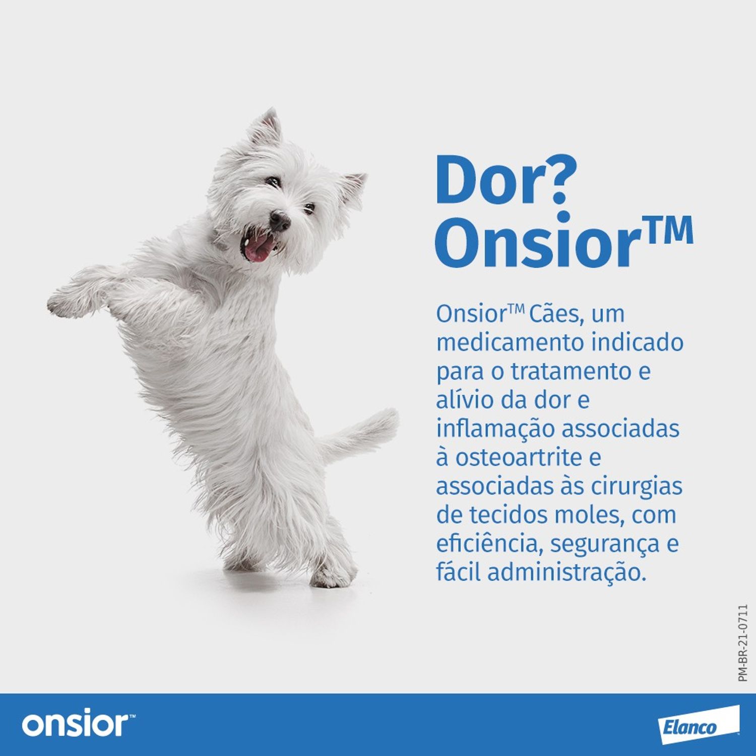 Anti-inflamatorio-Onsior-Caes-7-comprimidos