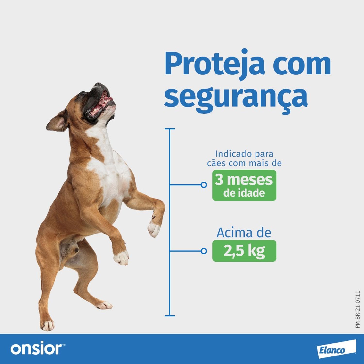 Anti-inflamatorio-Onsior-Caes-7-comprimidos