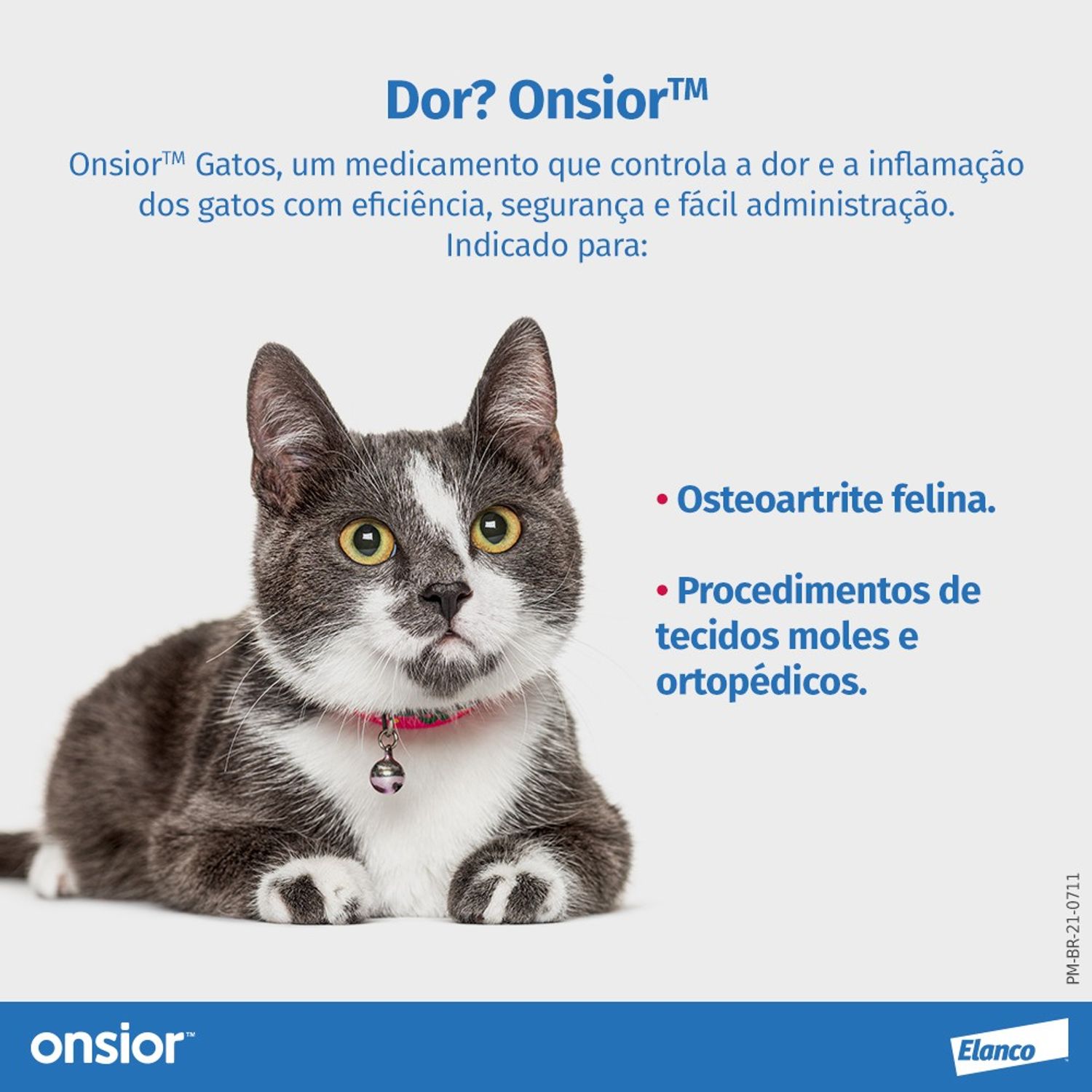 Anti-inflamatorio-Onsior-Gatos-6-comprimidos