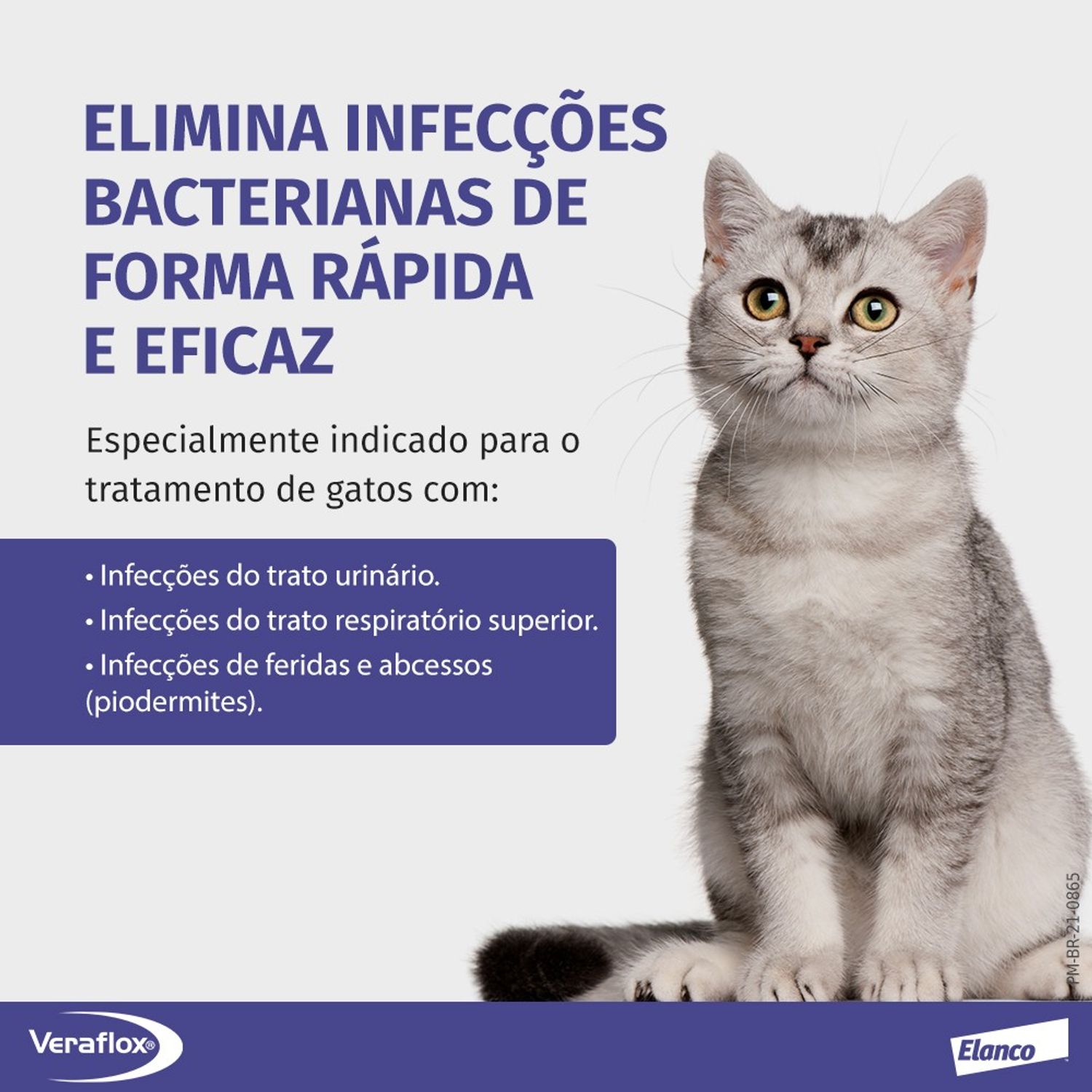 Veraflox elimina infecções bacterianas