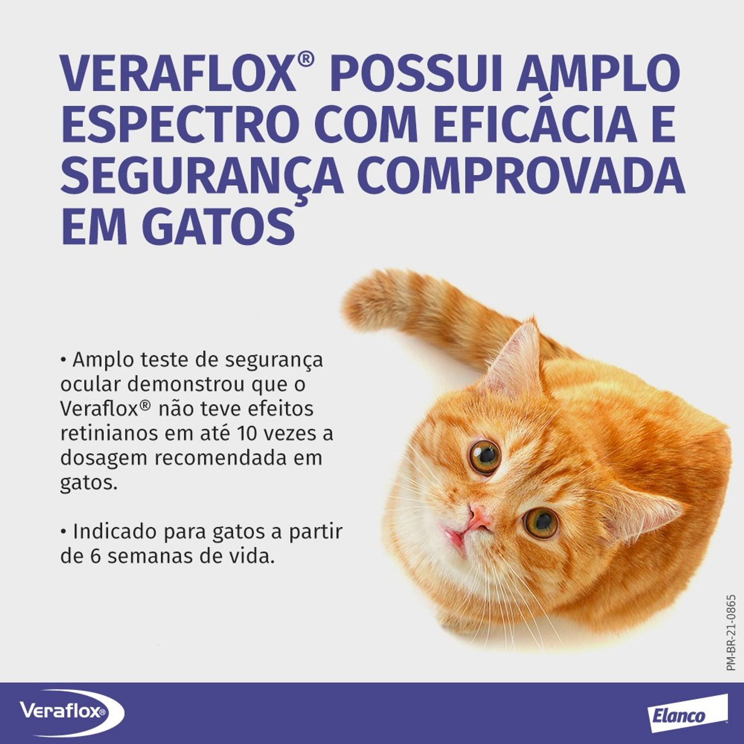 Veraflox eficácia e segurança comprovadas