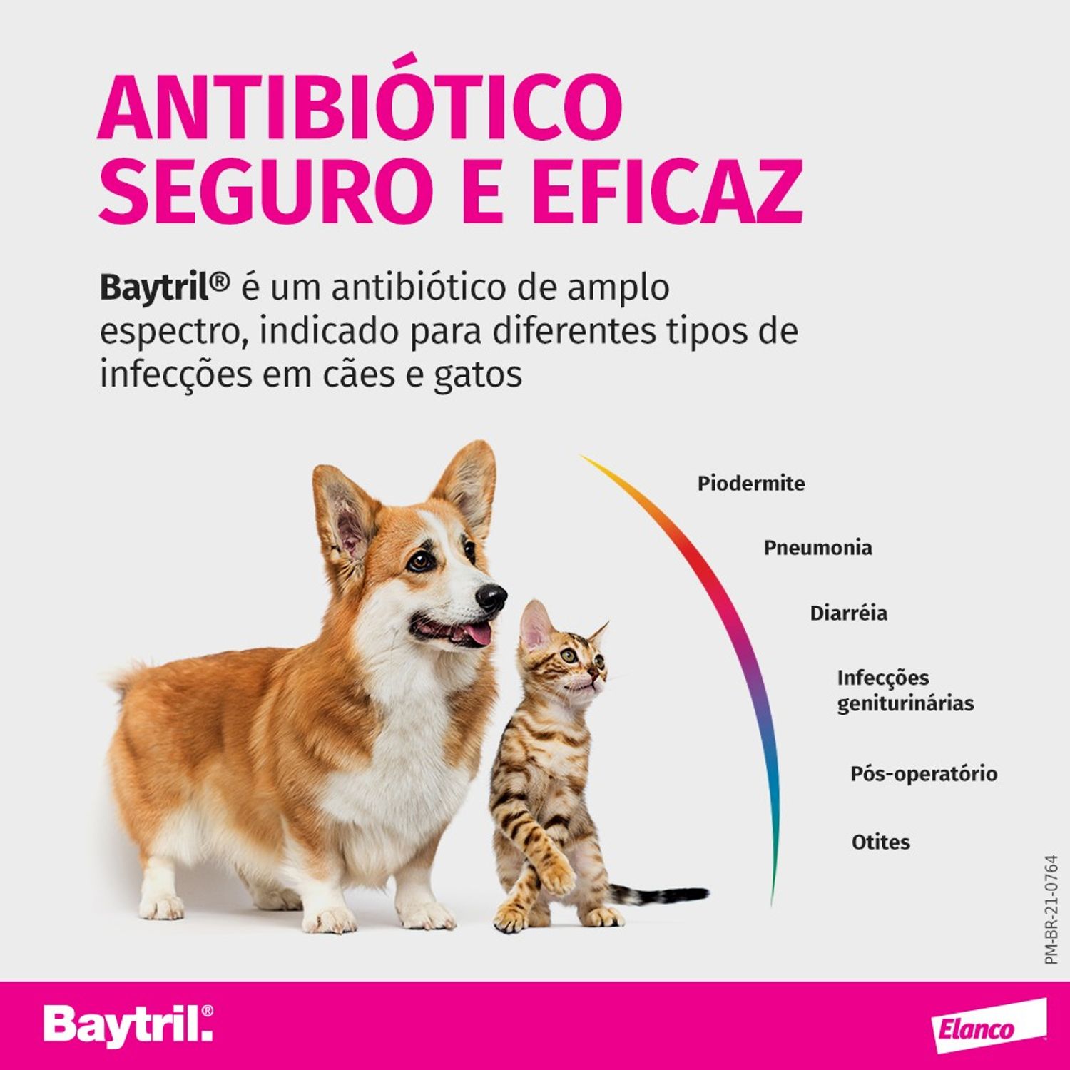 Baytril Flavour 15 mg Seguro e Eficaz