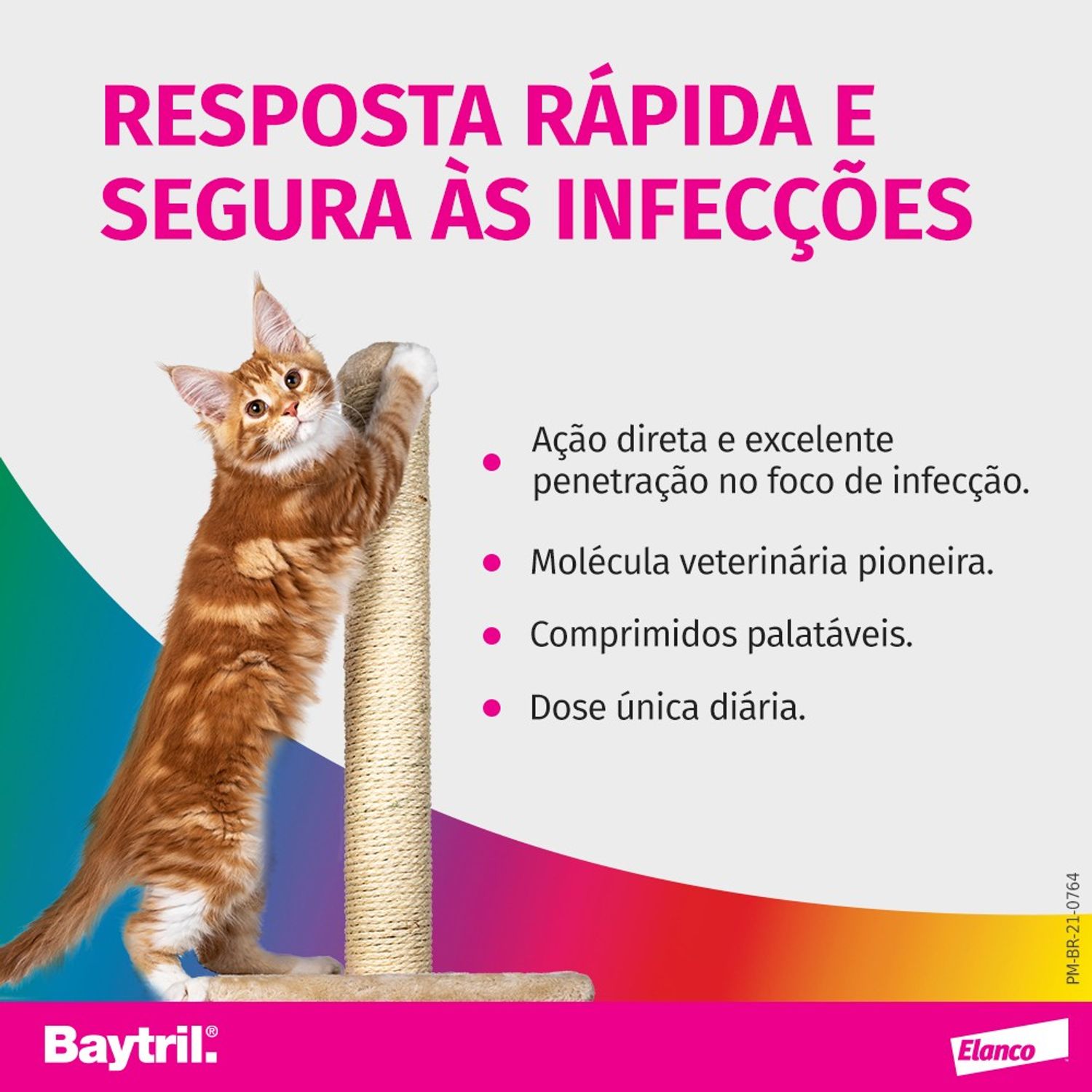 Baytril Flavour 15 mg Resposta Rápida
