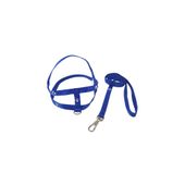 Guia e Peitoral Simples com Patinhas Santa Fé Pet Azul