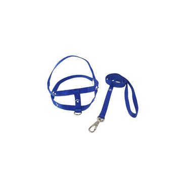 Guia-e-peitoral-simples-santa-fe-azul