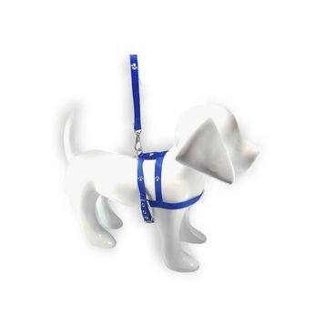 Guia-e-peitoral-simples-santa-fe-azul