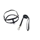 Guia e Peitoral Simples com Patinhas Santa Fé Pet Preta