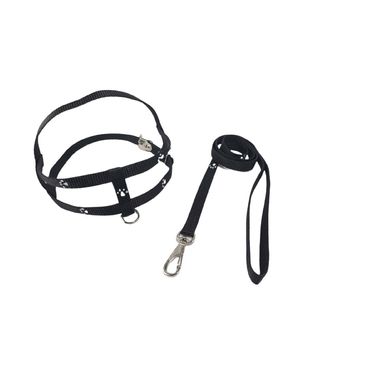 Guia-e-peitoral-santa-fe-preto