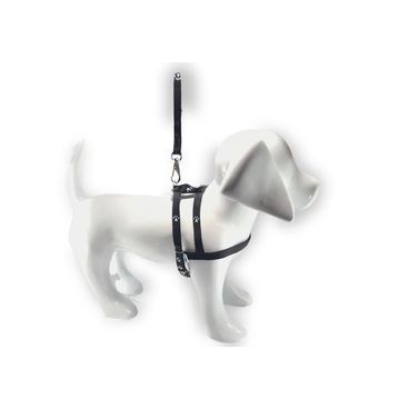 Guia-e-peitoral-santa-fe-preto