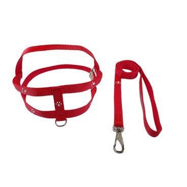 Guia-e-peitoral-santa-fe-vermelho