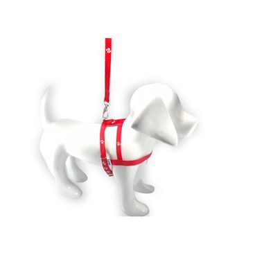 Guia-e-peitoral-santa-fe-vermelho