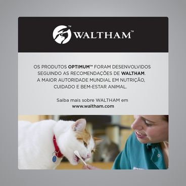 banner-gatos-optimum