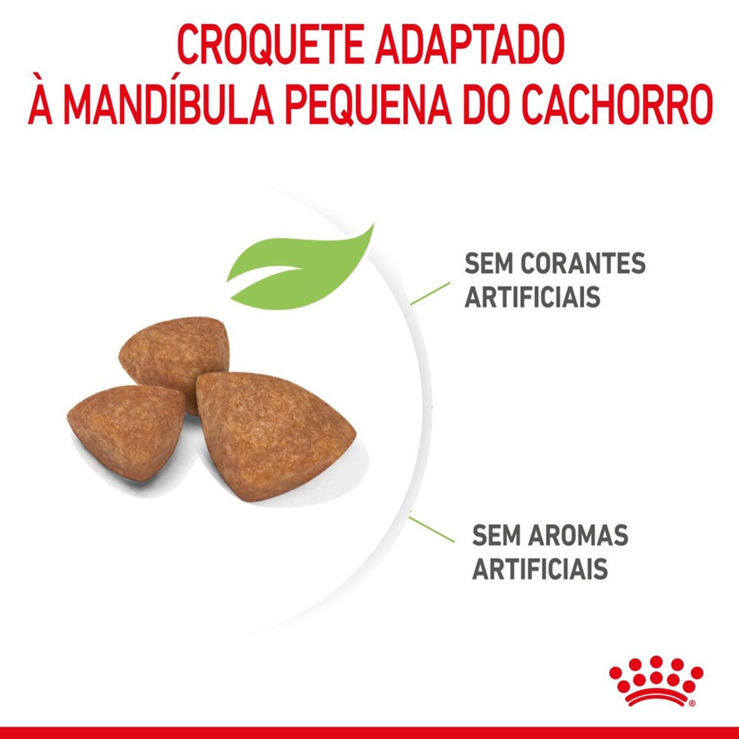 Racao-Royal-Canin-X-Small-Caes-Filhotes-Graos