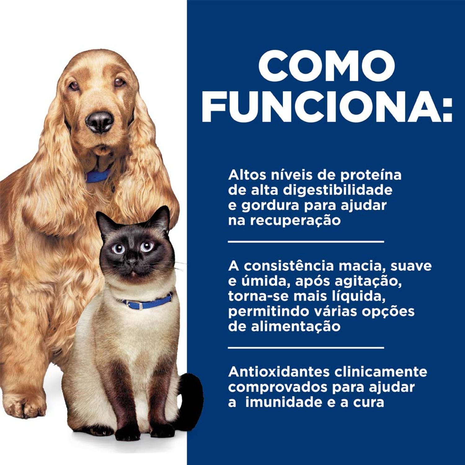 Racao-Umida-Hill-s-Prescription-Diet-A-D-Caes-e-Gatos-em-Condicoes-Criticas-como-funciona