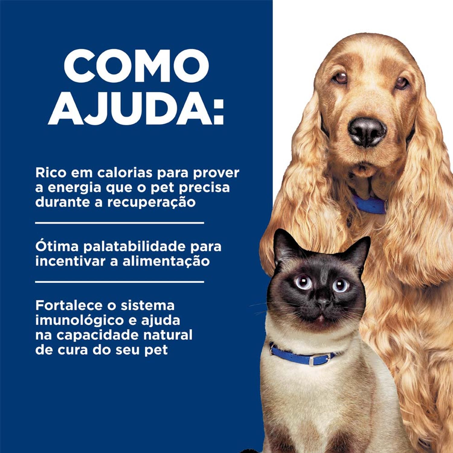 Racao-Umida-Hill-s-Prescription-Diet-A-D-Caes-e-Gatos-em-Condicoes-Criticas-Beneficios