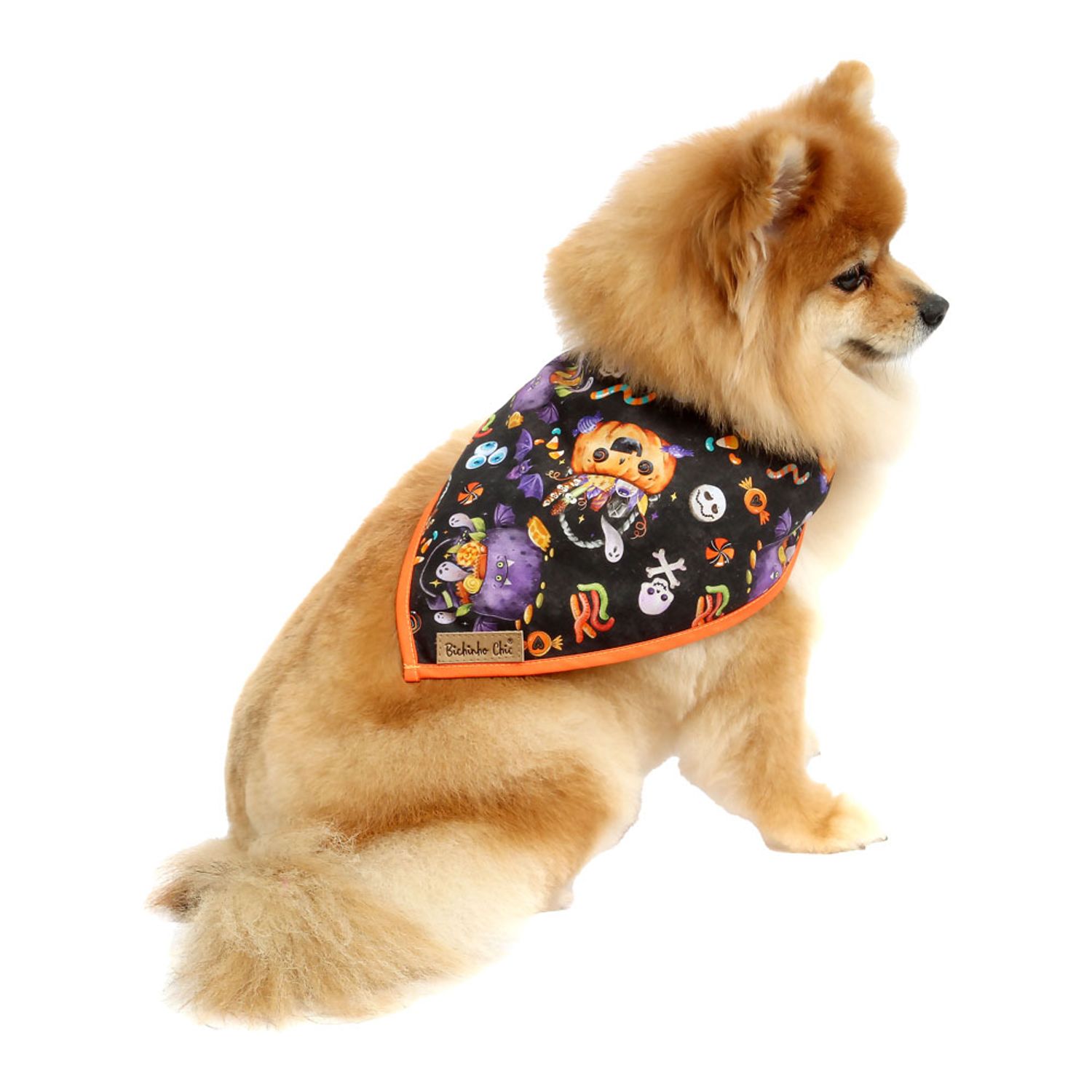 Bandana Halloween Bichinho Chic Laranja com pet 1